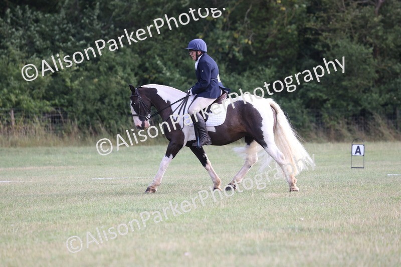 20250731-0028 - Class 2 - Prelim 3