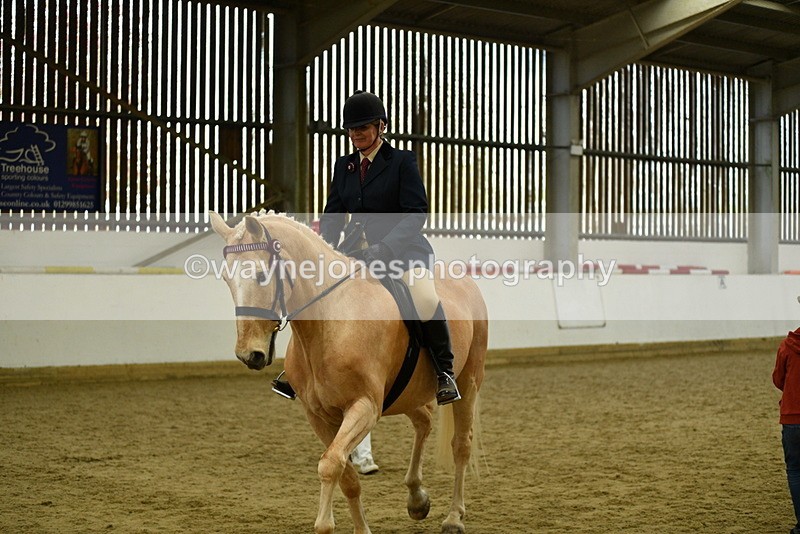 WJ5_6117 - Class 9 Ridden Veteran