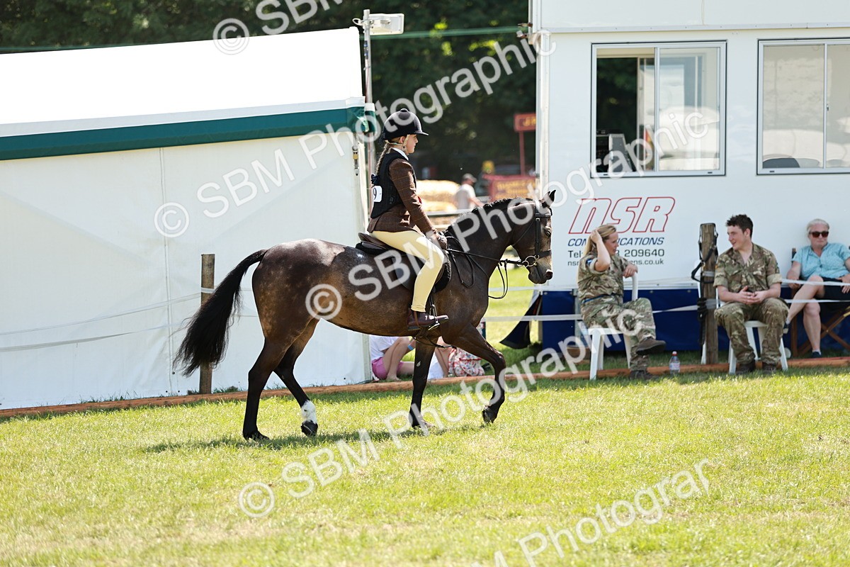 SBM_15776 - Class 108-109 - BSPS LIHS Open Gradle & Nursery Stakes