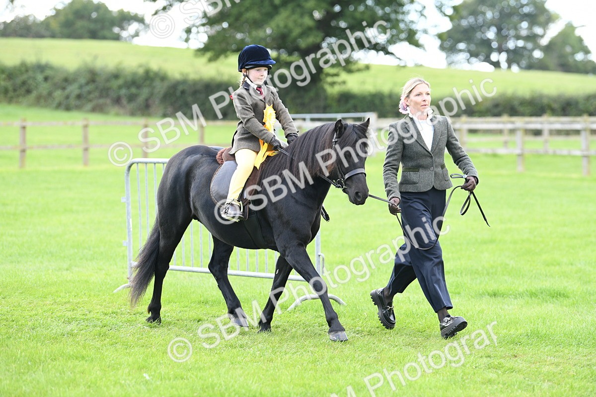 SBM_42705 - S20 - Lead Rein Mountain & Moorland Pony