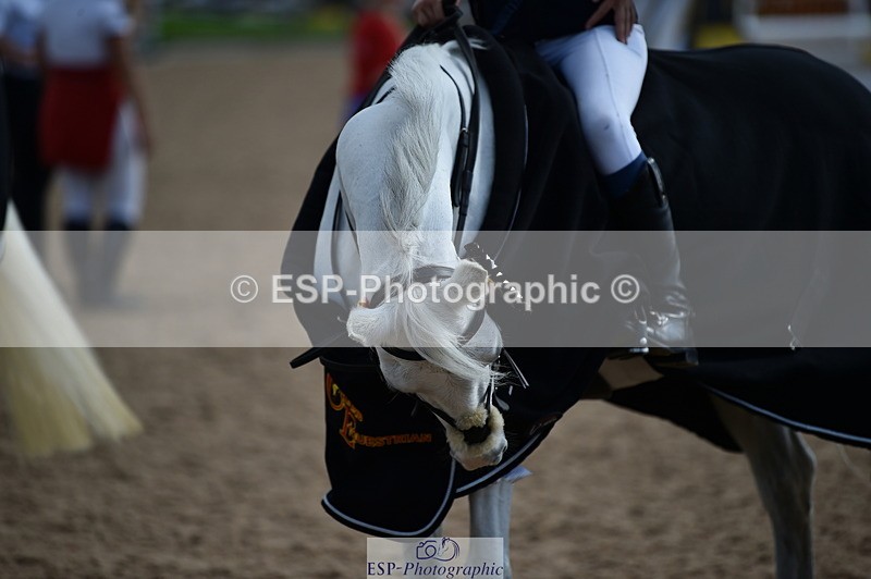 230902A-144946-01833 - Cls 3B Pony Medium 90cm