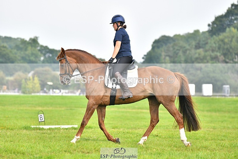 230817-092242-02542 - Abbie's 1st Group - Dressage