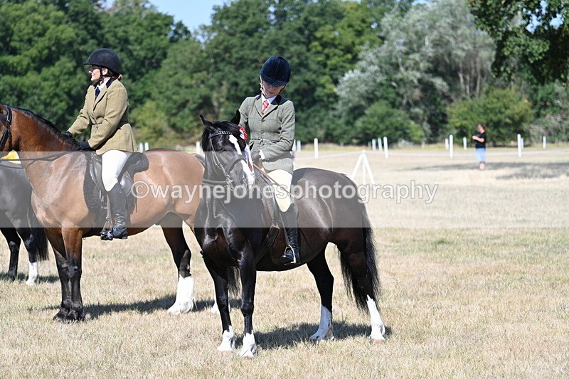 WJ7_4136 - Class 9 Mountain & Moorland Ridden