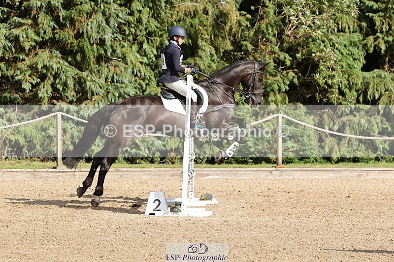 250803A-170504-17730 - S-869-Alice.Lamming-THE.DARK.HORSE.I