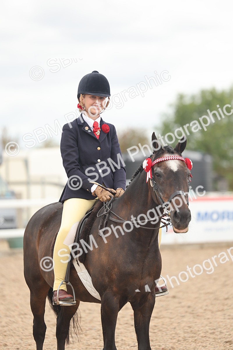 SBM_16045 - Class 311 - Ridden Show pony-Show hunter Pony
