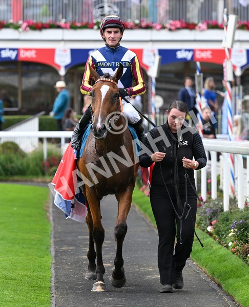 230825-292 Dain Ma Nut In - Race 7 5.20pm Sky Bet Steve Birch Finale Handicap