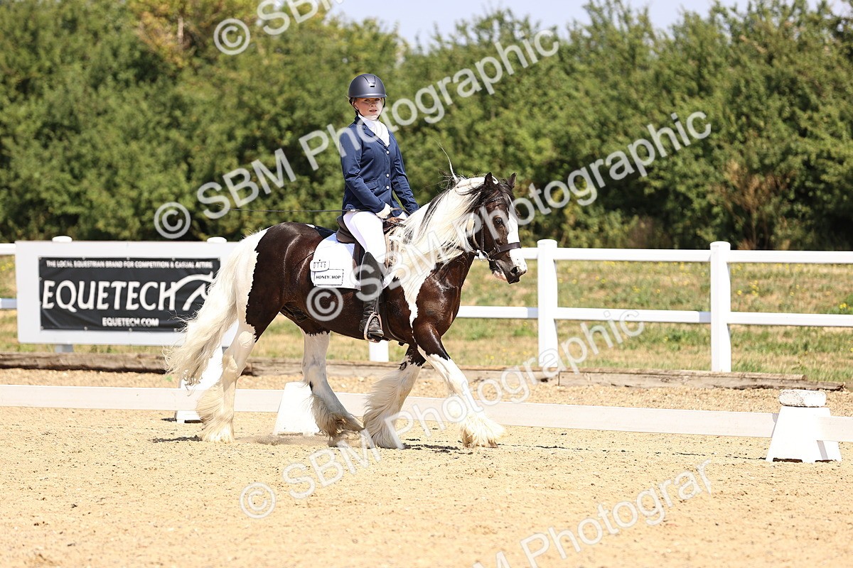 SBM_003740 - Intro 2