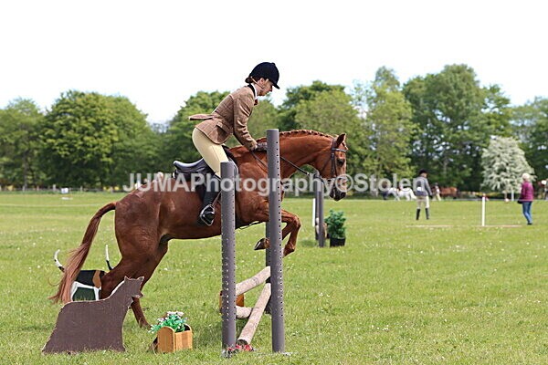 IMG_2949 - Working Hunter