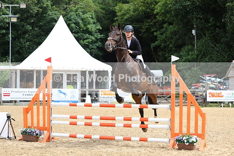 3E7A5958 - Class 4: Senior British Novice/90cm open