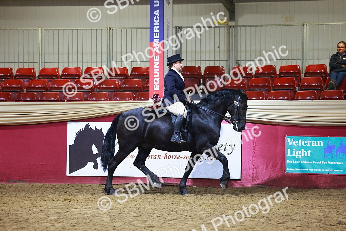 SBM_15484 - Class R - Veteran Champ