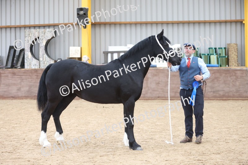 20251109-0973 - Class 26 - 2 and 4 Year Olds