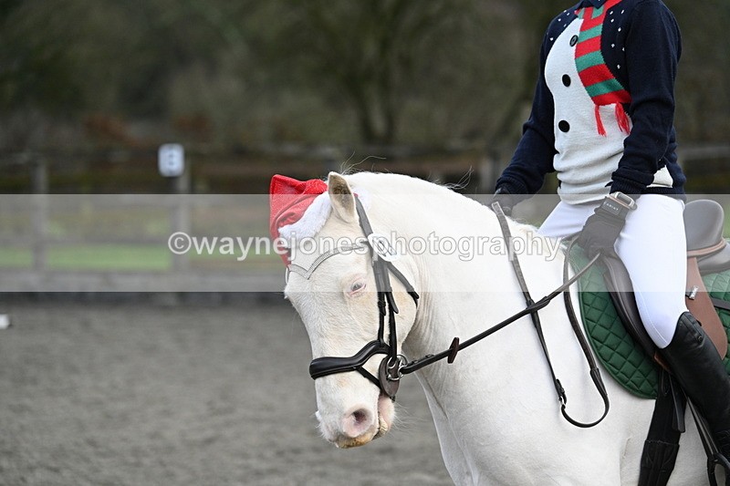 WJ7_4832 - Time 11:35 to 11:48