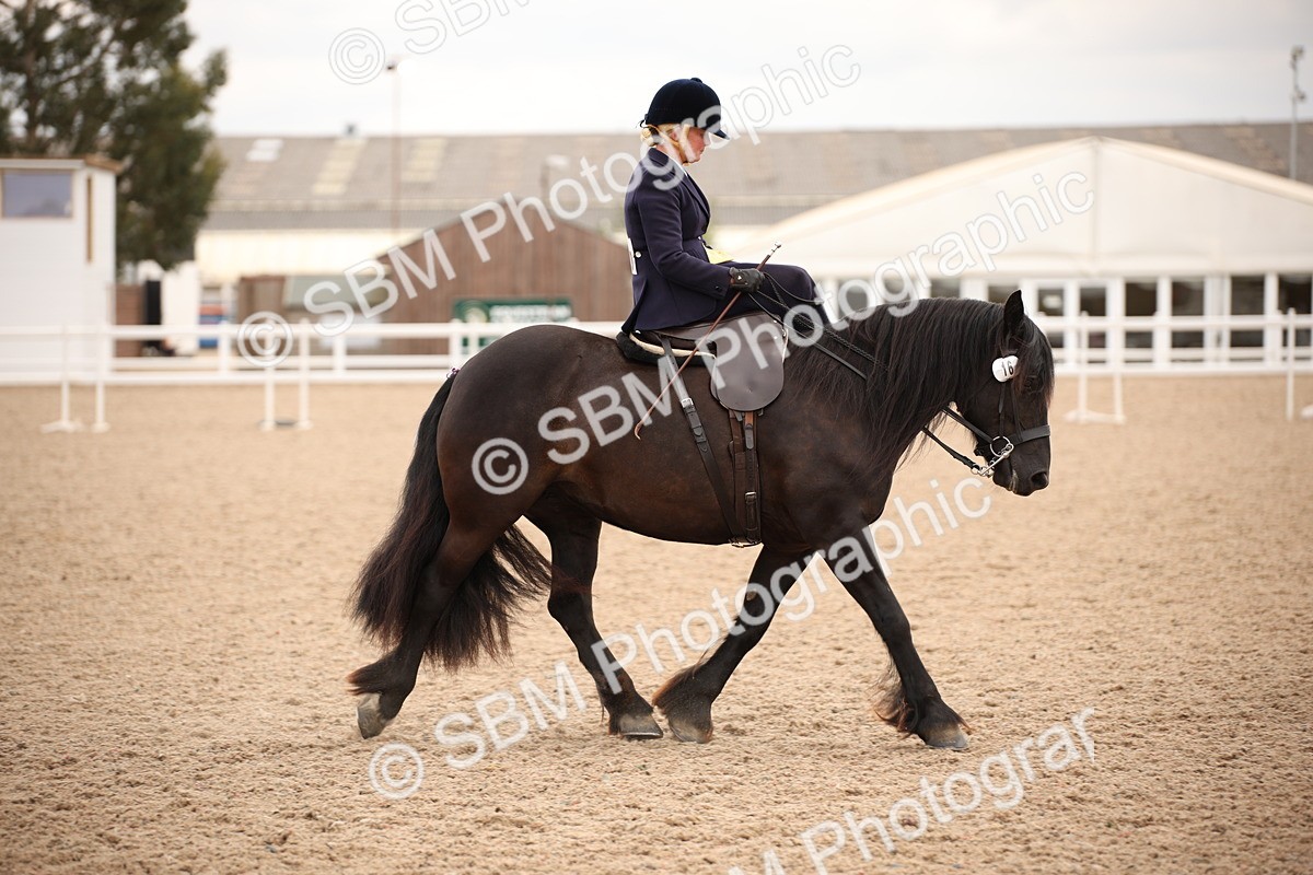 SBM_05388 - Class 22 SSA Equitation