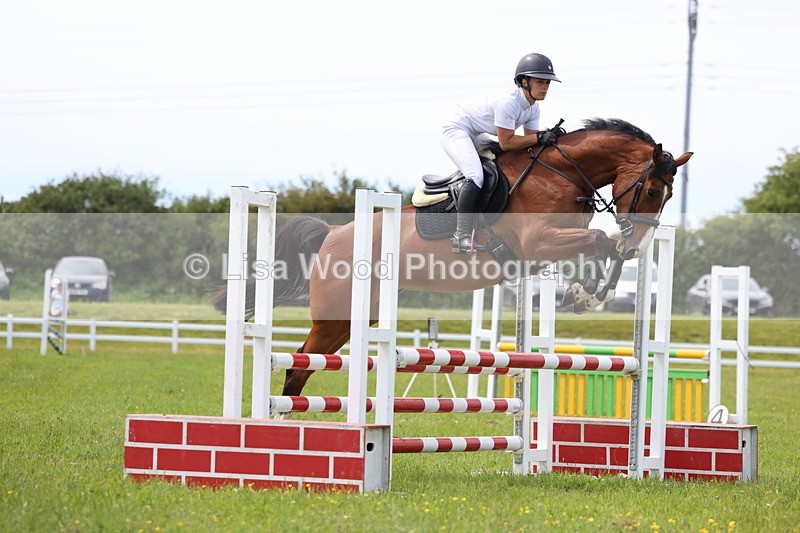 3E7A1495 - Class 13: Senior British Novice/90cm open