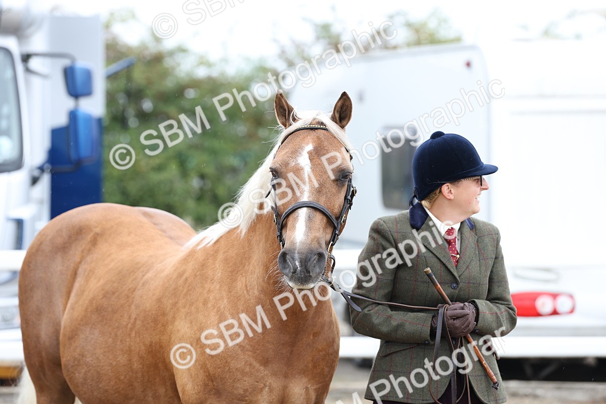 SBM_00078 - Class 50 - Best Turned Out IH