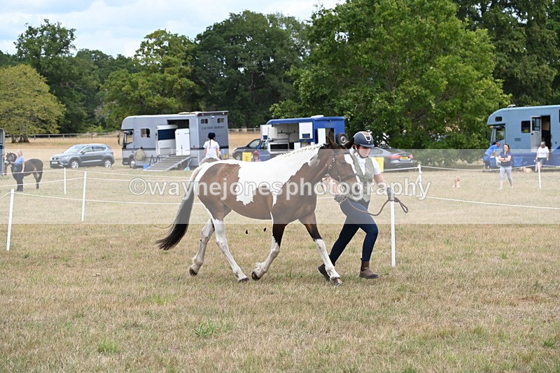 WJ6_5290 - Class 18 In-hand Coloured