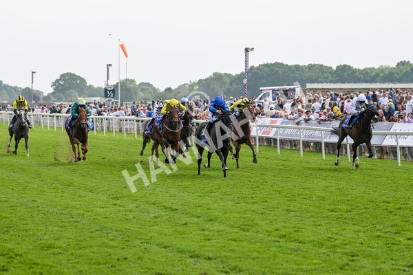 170524-Race 3-Devoted Queen-7857 - Race 3 3.15pm Sky Bet Fillies' Stakes (Registered As The Michael Seely Memorial Fillies' Stakes)