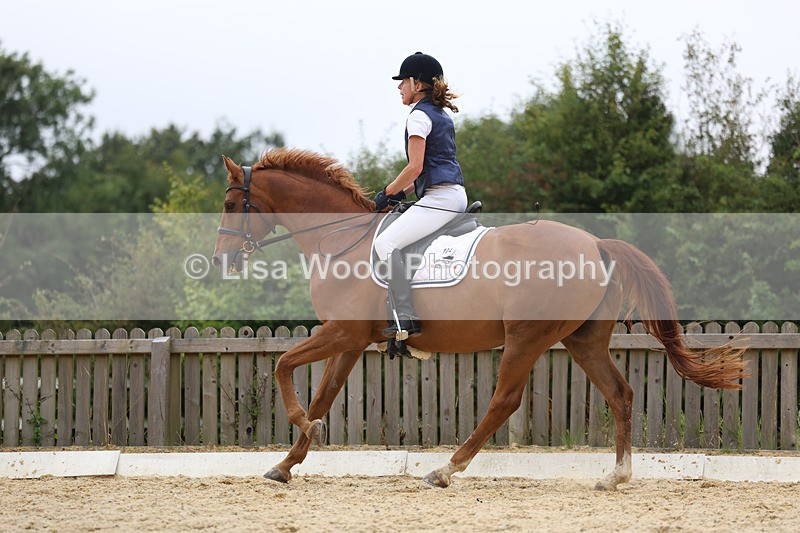 3E7A7456 - Class 9: Elementary 4 2024 - No sections