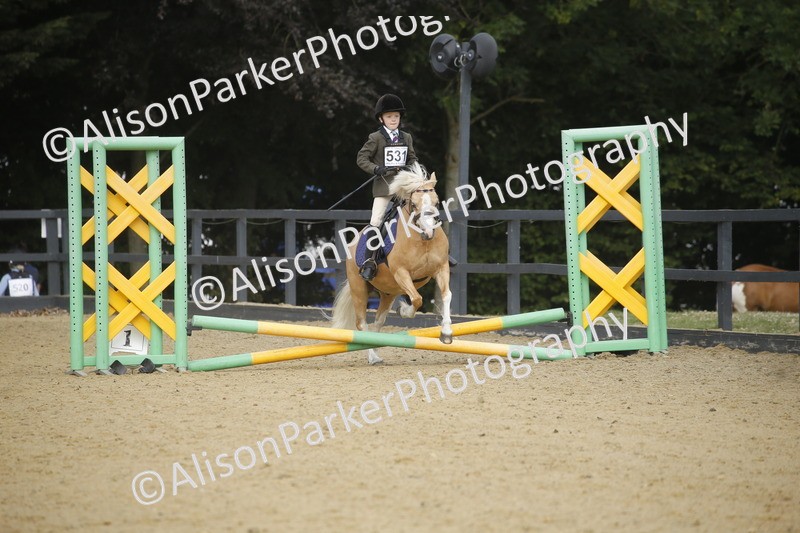 20250622-1531 - 40cm