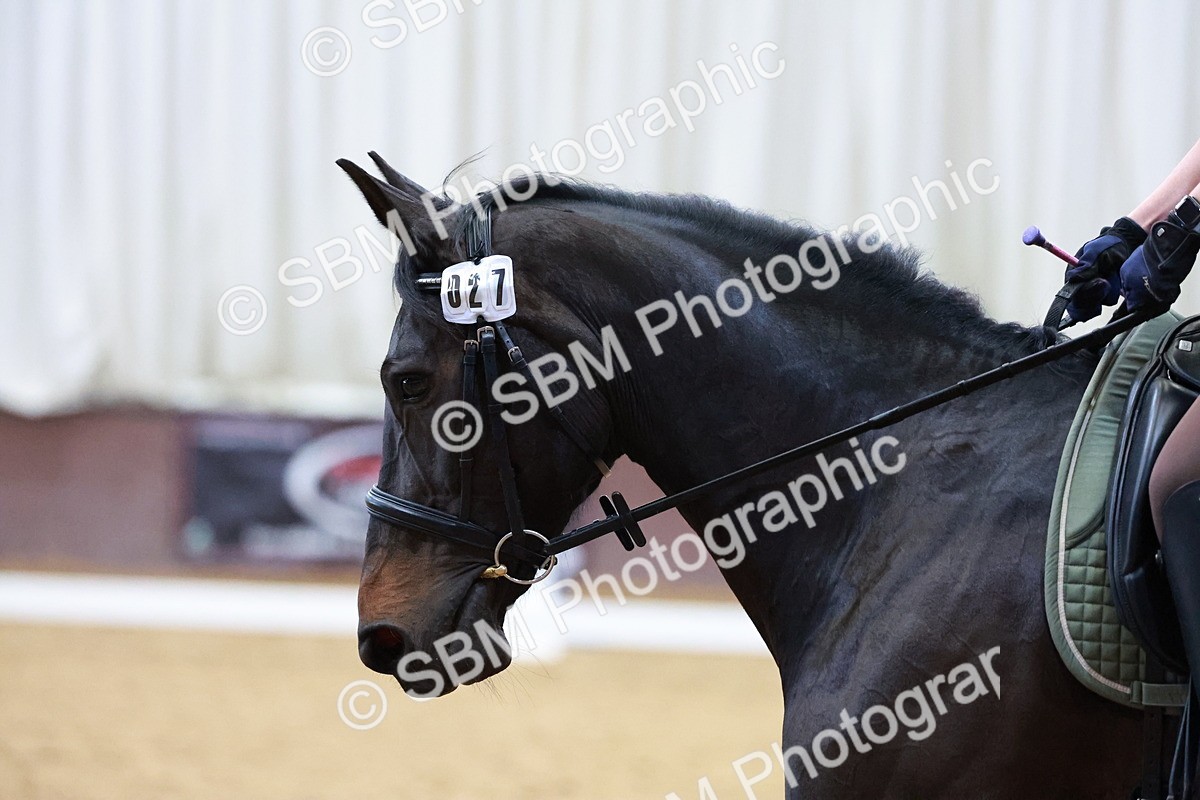 1I0A0831 - Class 3-6 - Prelim 1-Novice 2