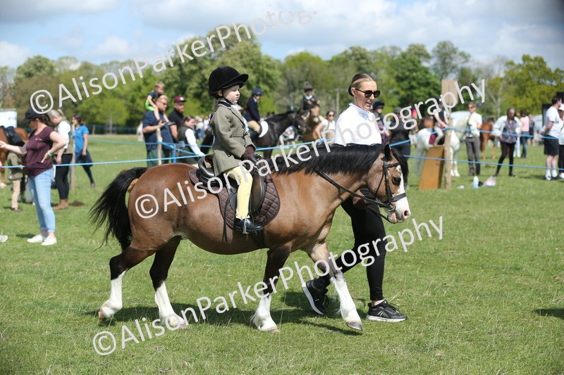 20250427-2807 - Class 7 - Prettiest Mare