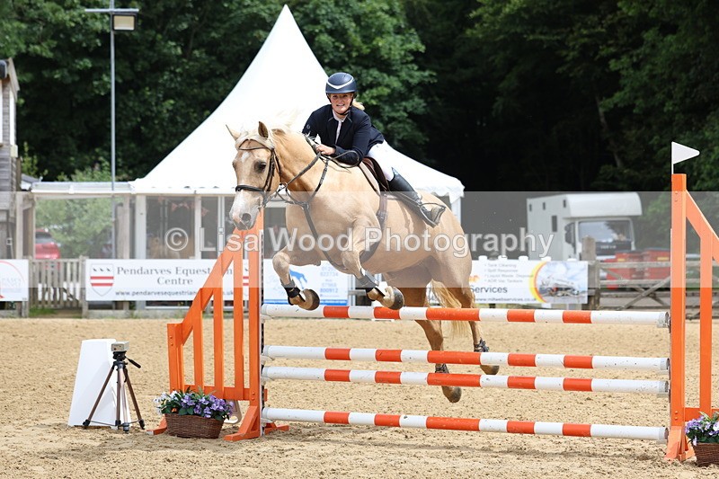 3E7A6017 - Class 4: Senior British Novice/90cm open