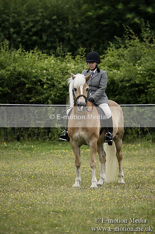 BVR160717-1368 - Ring 1 BVRC Show 16/07/17