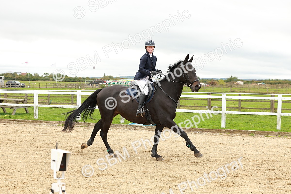 1I0A6902 - Class 2 - Senior British Novice