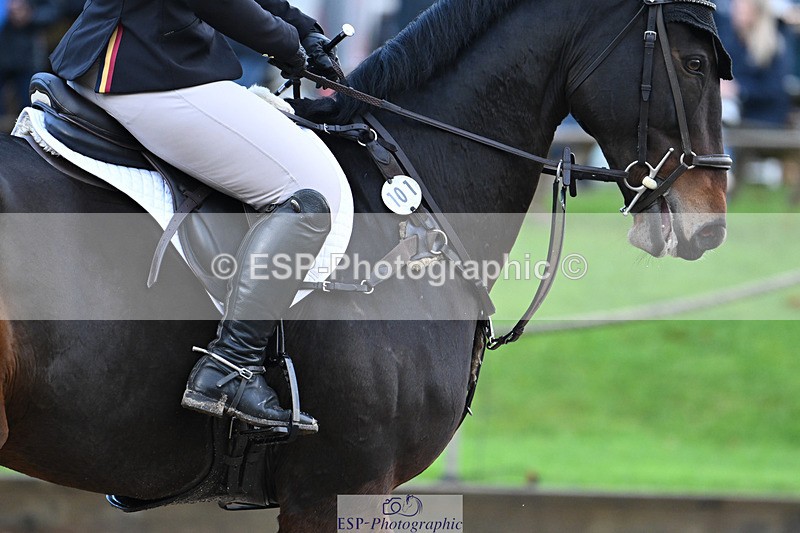 241025-093954-05126 - 101-Zoe.Boyles-SAM