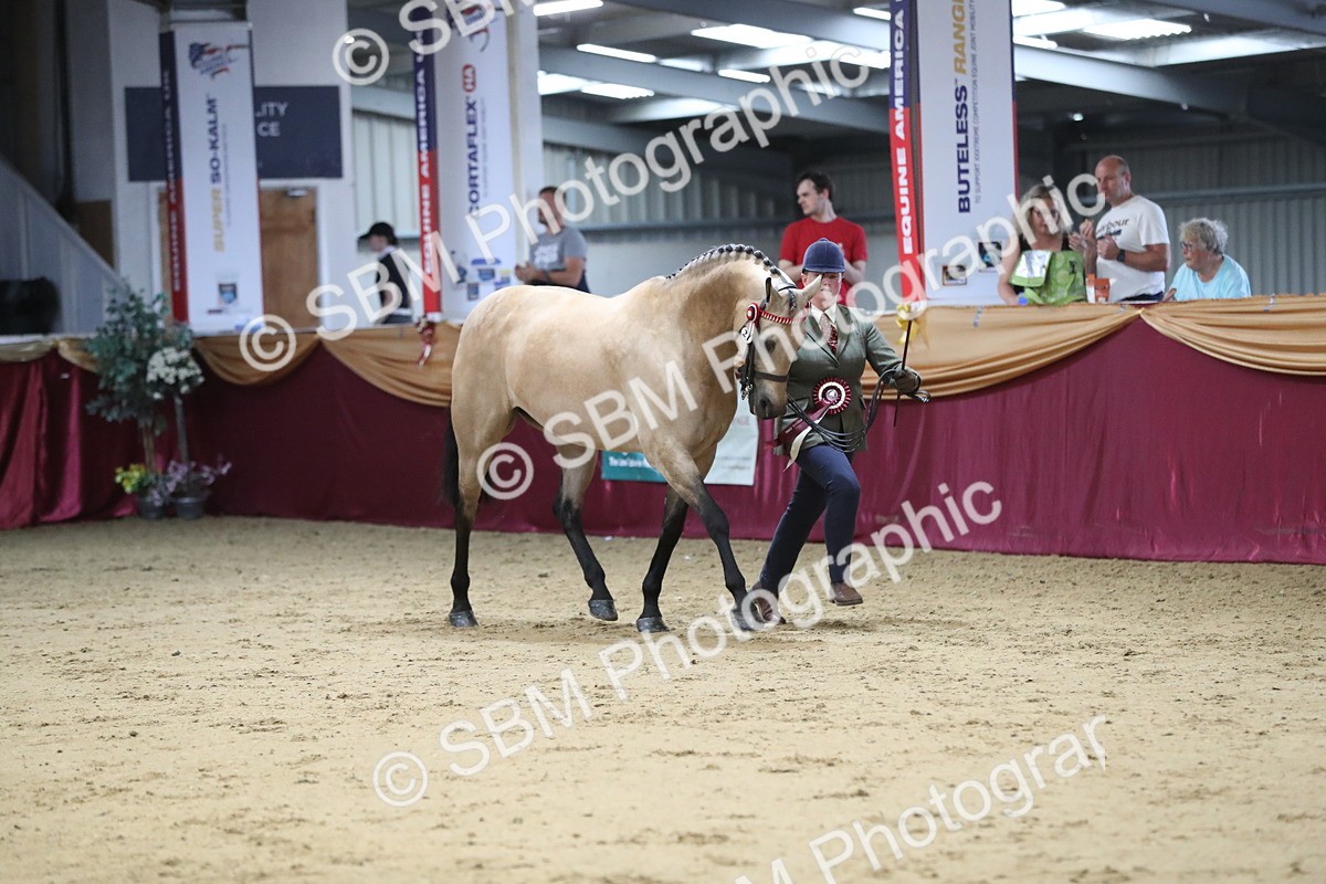 SBM_05067 - Class 8R- Regional -IH Veteran