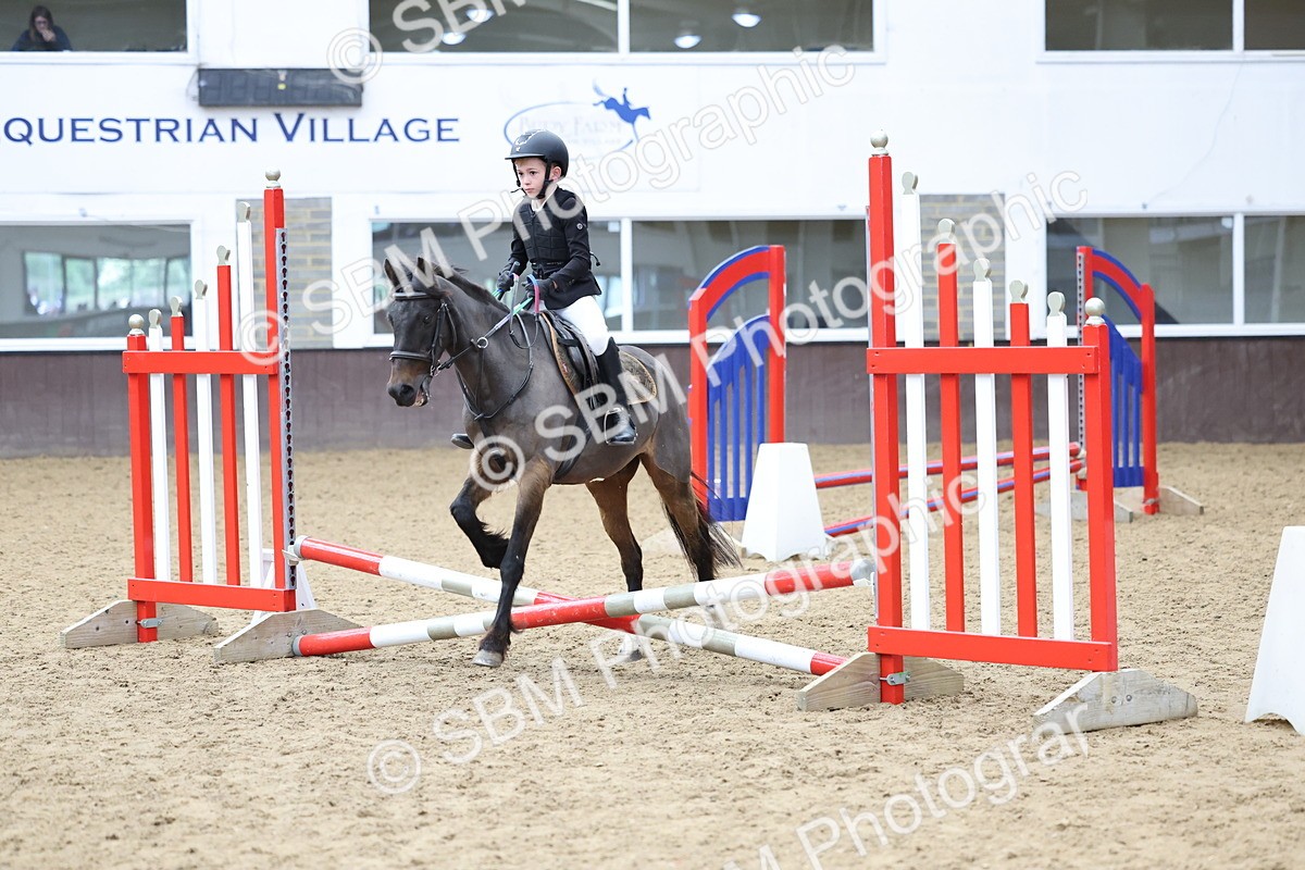 SBM_007401 - Class 2 - 50cm showjumping