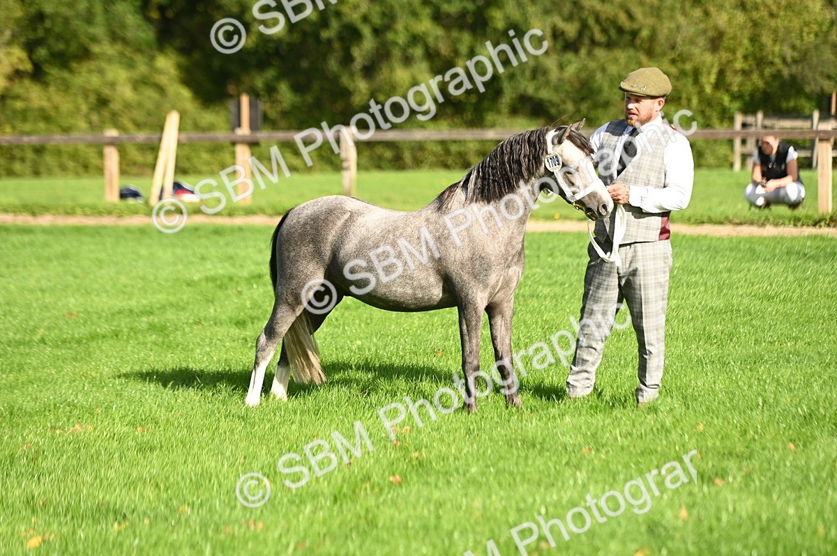 SBM_15895 - S1 - TSR in Hand Horse & Pony Showing