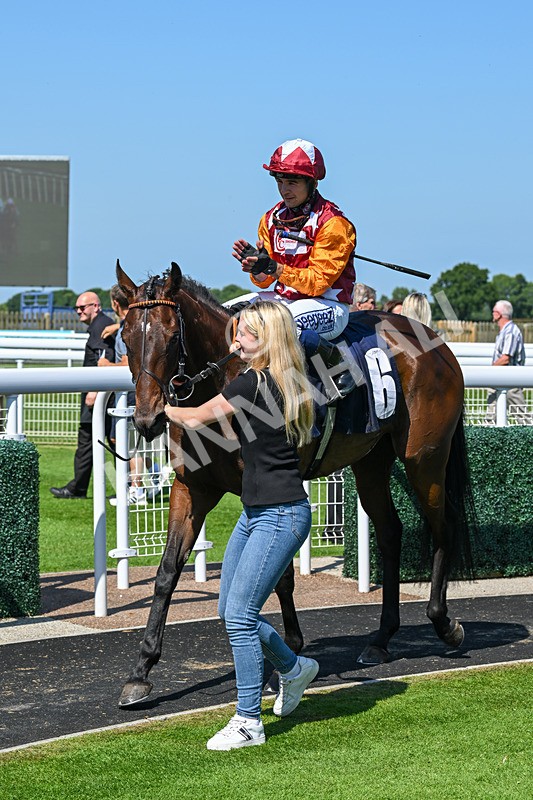 250624-Race 4-Lincoln Rockstar-5672 - Race 4