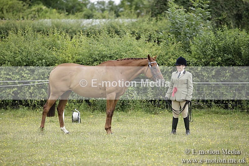 BVR160717-1091 - In Hand Championship 16/07/17