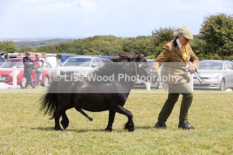 1X9A4845 - Class 35: Veteran In Hand