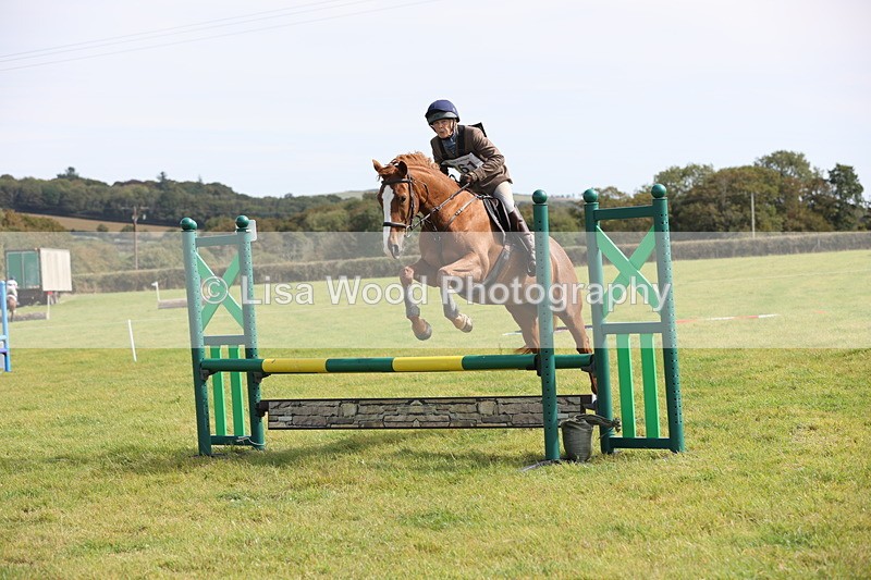 JPP_8791 - Class 2: Trekenning: 80cm Showjumping