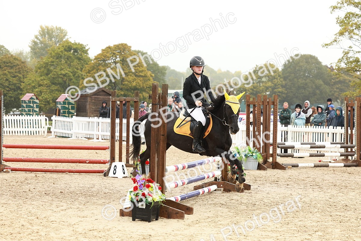 SBM_73321 - Supreme Championship Junior Pony 60cm & 65cm