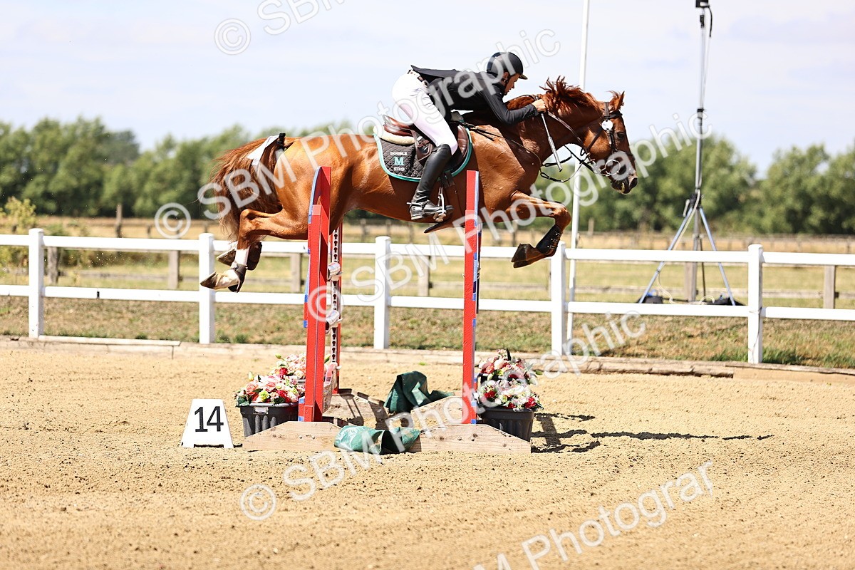 SBM_009982 - Class 9 - Senior Foxhunter - 1.20m Open