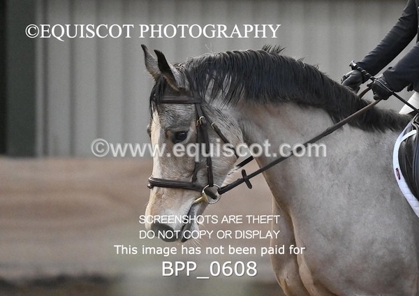 BPP_0608 - 7 - L MITCHELL