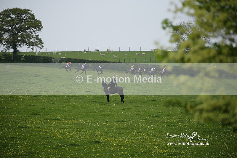 PtP 020522 417 - Mollington Races Point-to-Point 02/05/22