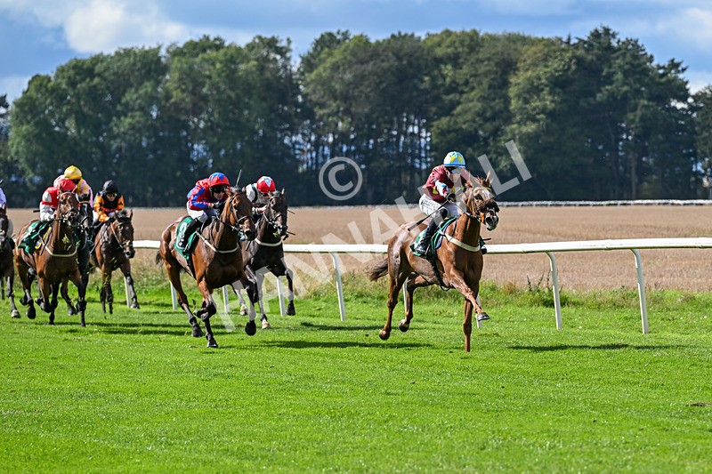 140926-Race 1-Satyress-6604 - Race 1 2.21pm Constant Security Services Apprentice Handicap