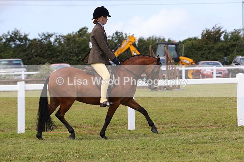 1X9A4314 - Class 34: Veteran Ridden