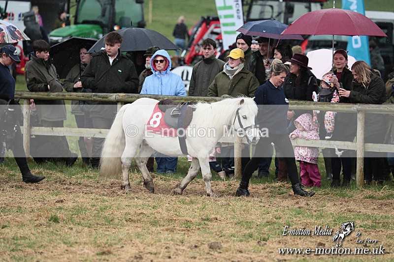 SHETPR 210425 48 - Shetland Ponies Paxford Races 21/04/25