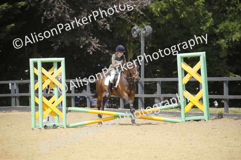 20250622-4026 - 50cm