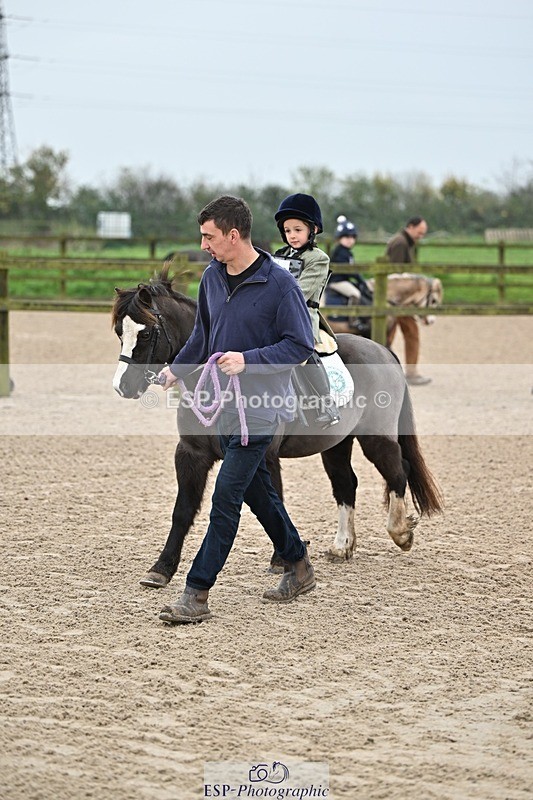 241110-093123-00002 - 40cm Showjumping