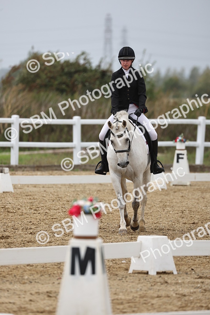 SBM_004371 - Class 8 - Novice 3 Champs