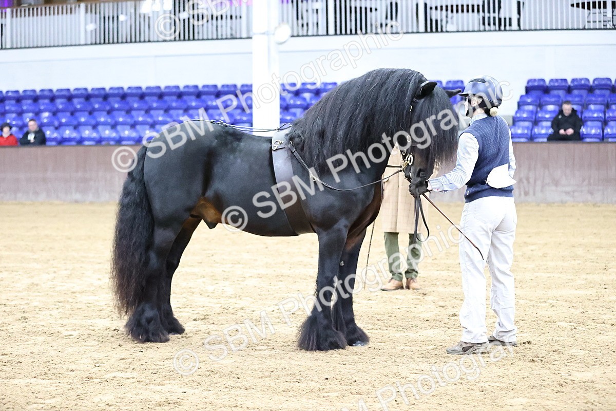 SBM_5296 - Class 32 - In Hand Cob Type