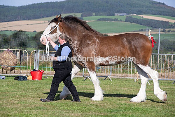 DSC_0061 - Ring 1