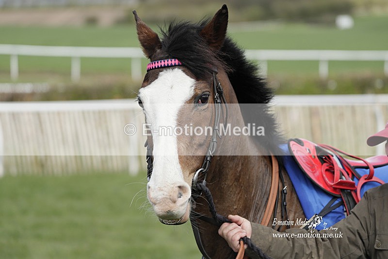 PtP PR 100423 3 - Pony Racing Lockinge 100423