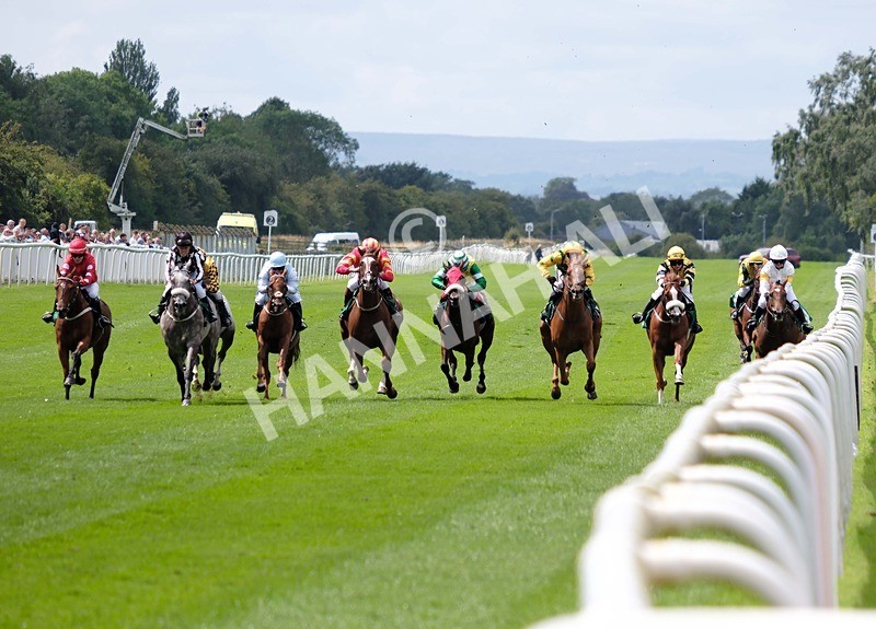 260724-Graham Lee Stable Staff Stakes-01 - Graham Lee Stable Staff Stakes